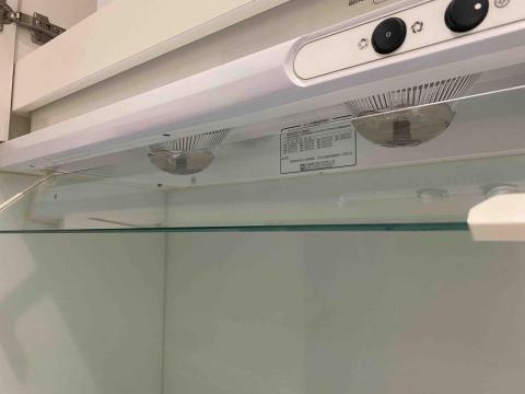 100% 清潔 - 完成✅