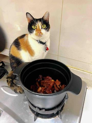 Miki Kao - 瓦斯爐取暖的小花