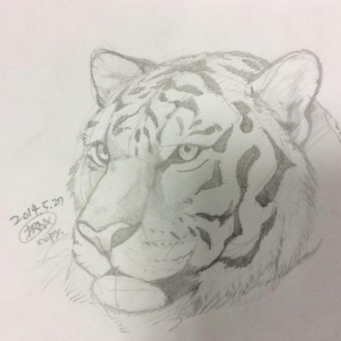 Dogimith - 動物素描2