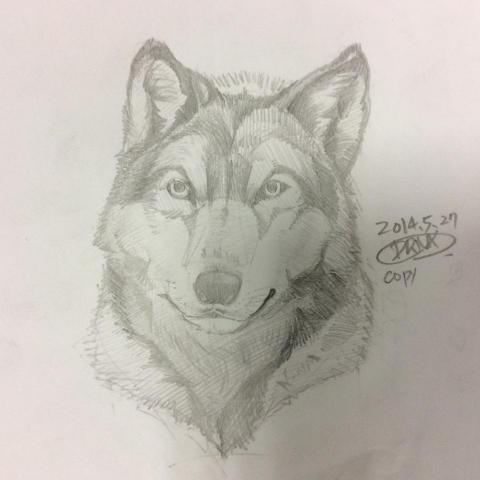 Dogimith - 動物素描3