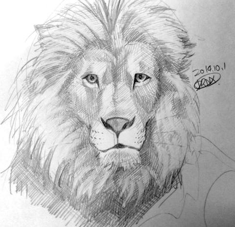 Dogimith - 動物素描練習