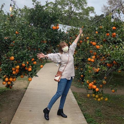 提供整理箱可以回收嗎服務的專家宛宛