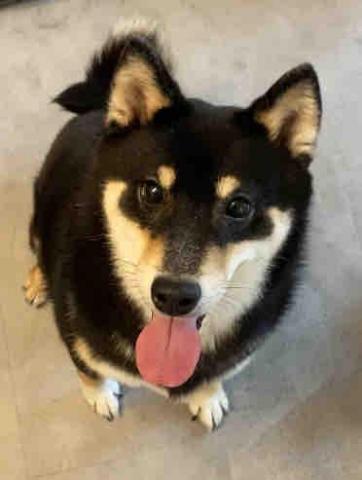 Sarry Lin砂礫老師 -  Sarry Lin砂礫老師 -