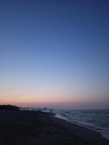 謝育庭 韓文翻譯/韓文家教 - 