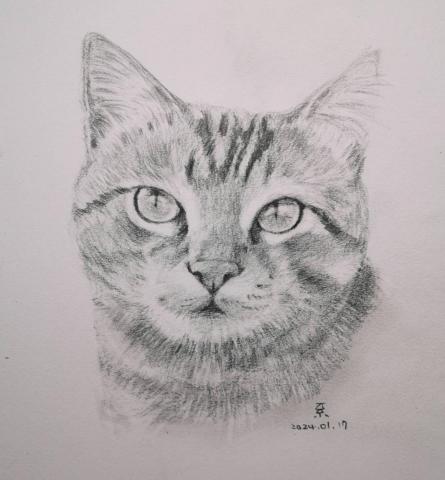 小星人繪繪課 - #鉛筆 #寵物似顏繪 #寵物素描