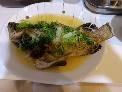 健康樹 客製化家庭菜宅配服務 - 請蒸食斑