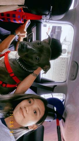 sauljaljuy - 她叫比比 是女生喔❤️