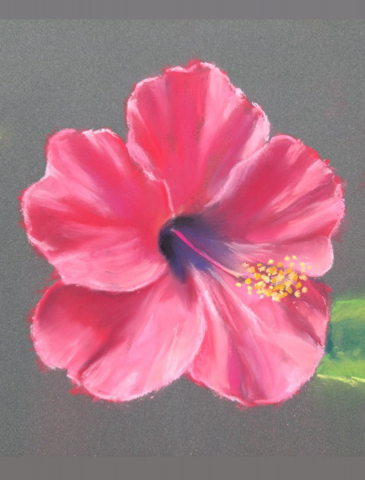 小星人繪繪課 - #粉彩 #花卉