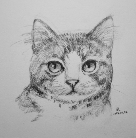 小星人繪繪課 - #鉛筆 #寵物似顏繪 #寵物素描