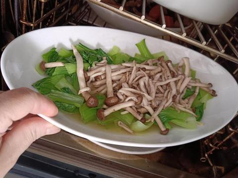 健康樹 客製化家庭菜宅配服務 - 鴻禧菇匯青江菜