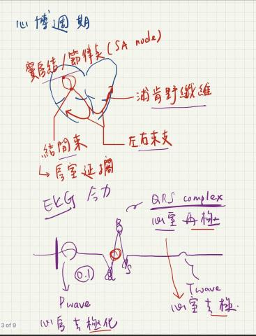 林謙易 一對一 專精小幫手 - 解說時的畫面