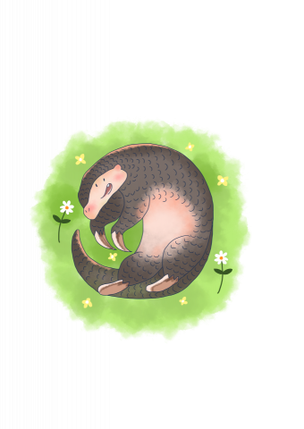 阿吉 - 電腦繪圖 可愛動物 阿吉 - 電腦繪圖 可愛動物