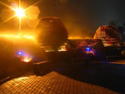 otl老十作水電泳池 - 佛光山-人造霧及燈光效果