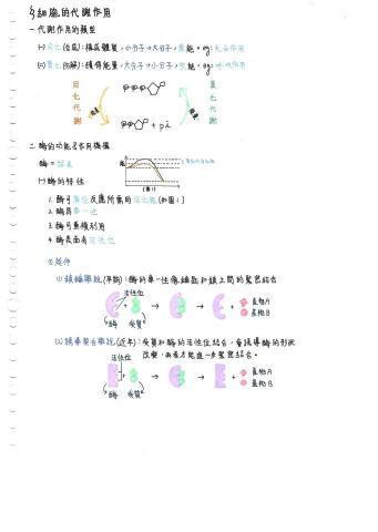 昀樺 - 高中生物筆記