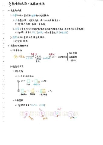 昀樺 - 高中生物筆記