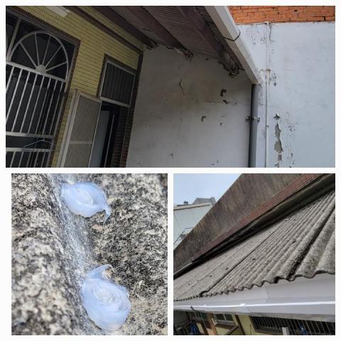 郡祥   居家修繕工作室 - 老屋增設雨水槽天溝
提屋主避免掉下雨嘈雜的雨滴聲
老屋石棉瓦報廢清運政府現在有補助