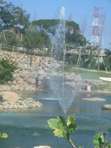 otl老十作水電泳池 - 魚池過濾噴泉