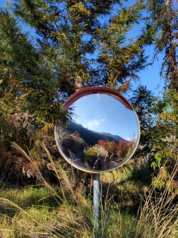 提供應徵服務的專家李美霖