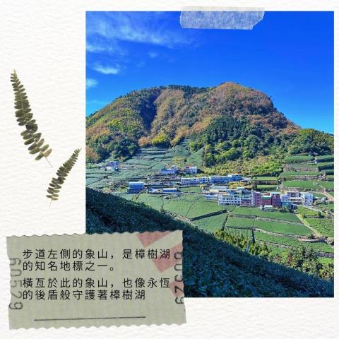 小茶設計 - 社群貼文範例