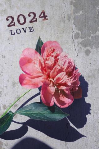 PW's output - 海報(顏色/材質/光影/質感)