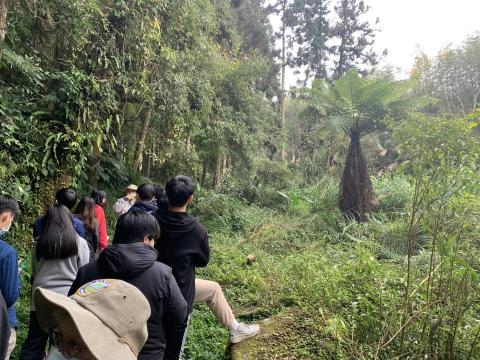 山林療☯️癒 - 