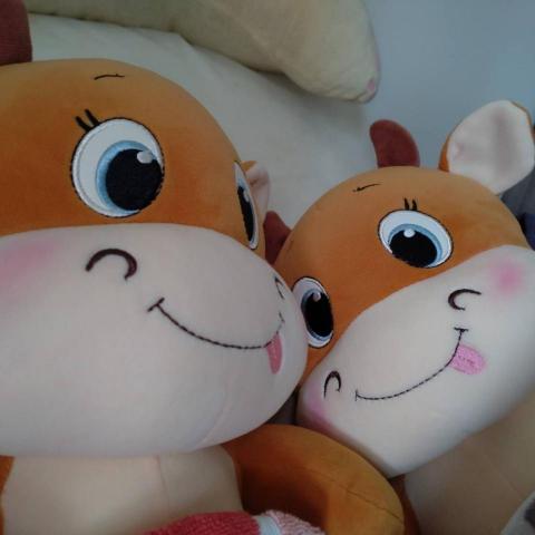 提供sbir代寫服務的專家傅牛牛