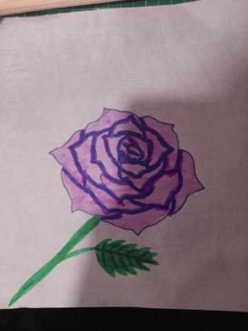 提供61服務的專家桃園淘米公司