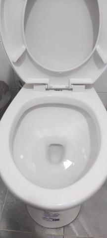 香港商史偉莎有限公司 - 