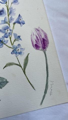 Nina Ho 水彩花卉工作坊 - 