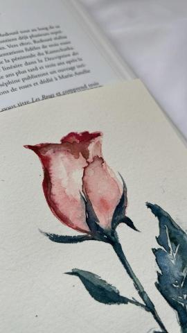 Nina Ho 水彩花卉工作坊 - 