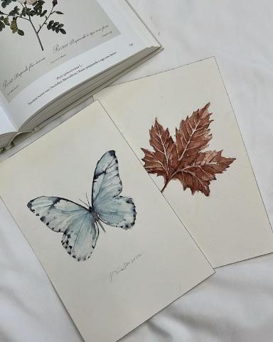 Nina Ho 水彩花卉工作坊 - 