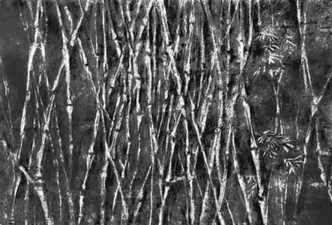 曾媃 - 2022 全開炭筆