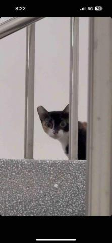 提供保全服務的專家龍翔保全股份有限公司