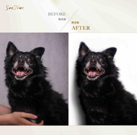 SunTime光時後製 - 寵物形象照（去背、調色、加陰影呈現自然）