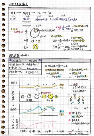 朱芷嫻 - 生物筆記