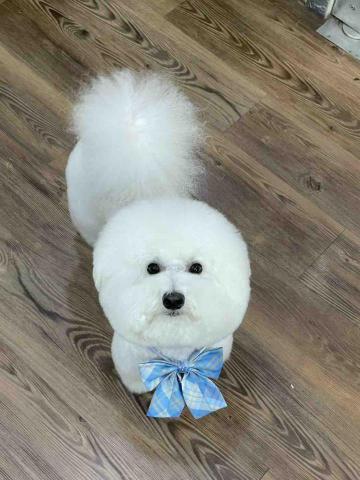 可樂果寵物生活館 - 