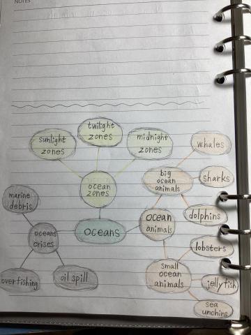 Jenny - ＳＤＧｓ課程線上教學之學生筆記