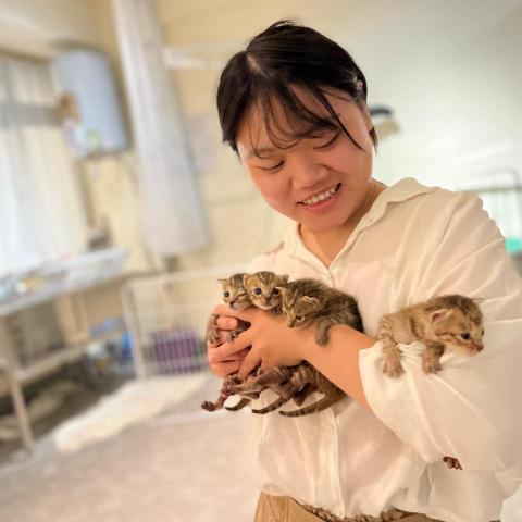 提供餵服務的專家Ting