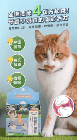 Little.sparrow - 貓咪關節保健品銷售頁設計。負面整體視覺設計、攝影。

https://www.parkcat.com.tw/product/detail/1384268