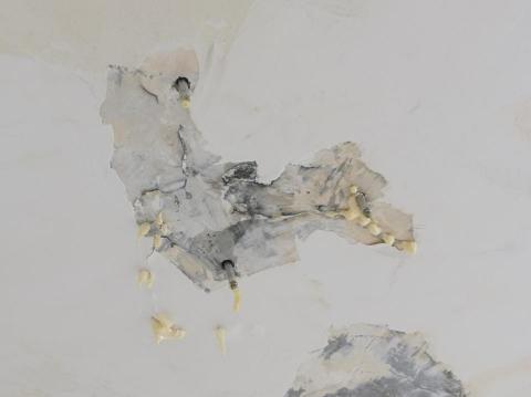 陳品豪 - 天花板灌注止漏