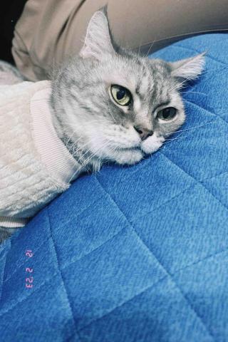 提供髮型師學徒服務的專家周聖祐