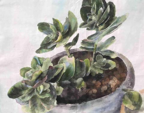 姜幼薪 一對一/團課美術教學 - 