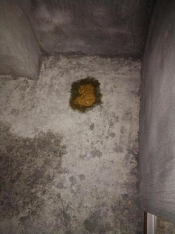 家洋防水油漆設計工程行 - 