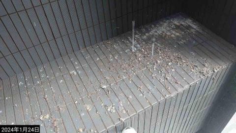 個人工作室-外牆蜘蛛人 - 外牆清洗(前) 個人工作室-外牆蜘蛛人 - 外牆清洗(前)