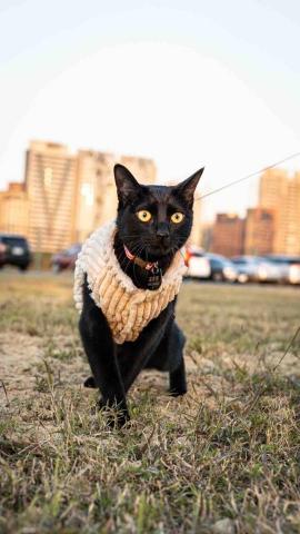 星夜咖啡攝影 - 