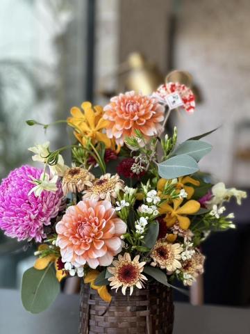 植感物語 -  植感物語 -