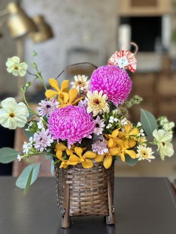 植感物語 -  植感物語 -