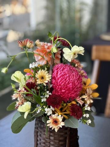 植感物語 -  植感物語 -