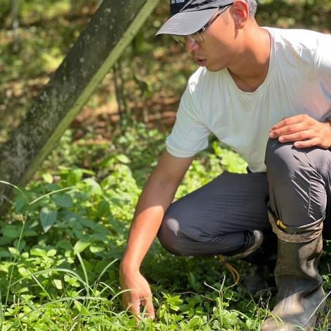 提供割草服務的專家蔡維峻