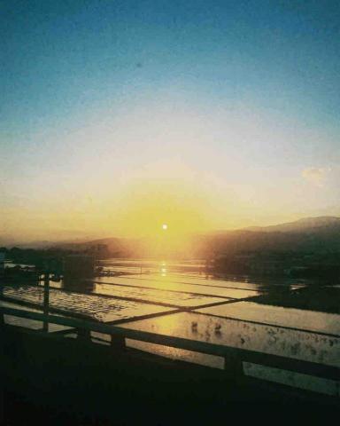 貝拉的多元工作室 - 日落